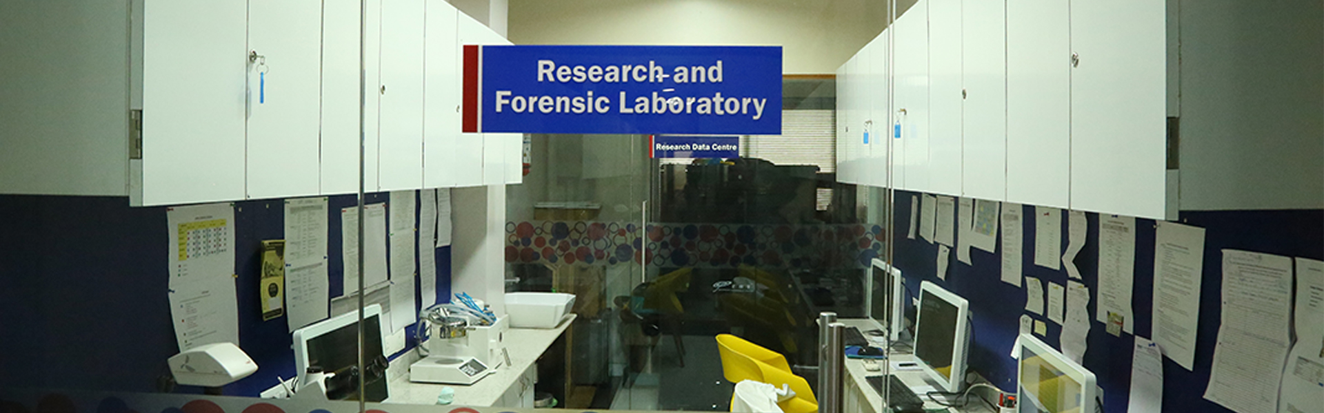 Indian Dental Research Foundation